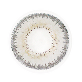 SILVER BARK POWERED COLORED LENS ZL35