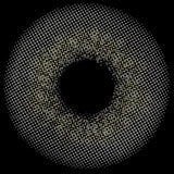 CLOUD GRAY COLORED LENS ZL10