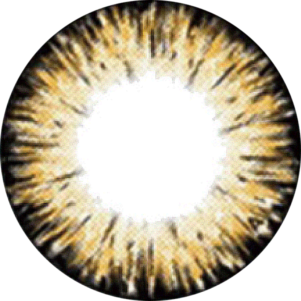 PEANUT BROWN POWERED COLORED LENS ZL03