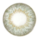 RARE GRAY COLORED LENS ZL32